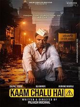 Kaam Chalu Hai (2024) HDRip Hindi Full Movie Watch Online Free