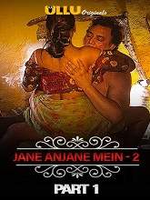 Charmsukh (Jane Anjane Mein 2) (2020) HDRip Hindi Season 1 Part-1 Watch Online Free