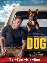 Dog (2022) BRRip Original [Telugu + Tamil + Hindi + Eng] Dubbed Movie Watch Online Free