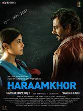 Haraamkhor (2017) DVDScr Hindi Full Movie Watch Online Free