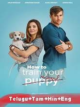 How to Train Your Husband (2018) HDRip [Telugu + Tamil + Hindi + Mal + Eng] Dubbed Movie Watch Online Free