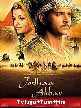 Jodhaa Akbar (2008) BRRip Original [Telugu + Tamil + Hindi] Full Movie Watch Online Free