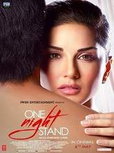 One Night Stand (2016) DVDRip Hindi Full Movie Watch Online Free