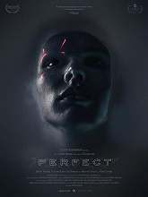 Perfect (2019) HDRip Full Movie Watch Online Free