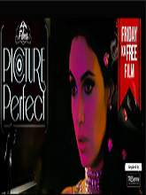 Picture Perfect (2015) DVDRip Hindi Full Movie Watch Online Free