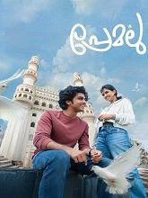 Premalu (2024) HDRip Malayalam Full Movie Watch Online Free