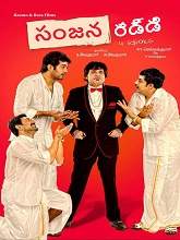 Sanjana Reddy (2019) HDRip Telugu (Original Version) Full Movie Watch Online Free