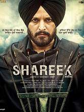 Shareek (2015) DVDRip Punjabi Full Movie Watch Online Free