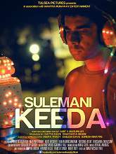 Sulemani Keeda (2014) DVDRip Hindi Full Movie Watch Online Free