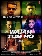 Wajah Tum Ho (2016) DVDScr Hindi Full Movie Watch Online Free
