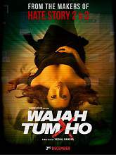 Wajah Tum Ho (2016) WEBRip Hindi Full Movie Watch Online Free