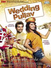 Wedding Pullav (2015) DVDRip Hindi Full Movie Watch Online Free