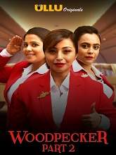 Woodpecker (2020) HDRip Hindi Part-2 Watch Online Free